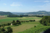 DSC05679habs-aare.JPG (382888 bytes)